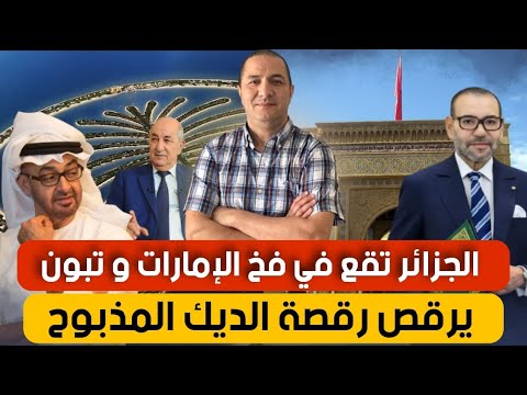 الجزائر في فخ الإمارات،تبون و رقصة الديك المذبوح،الجزائر تستغل الفيضانات و تفتح جبهة جديدة مع المغرب