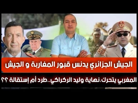 نهاية وليد الركراكي..طرد أم إستقالة ؟؟ جيش الجزائر يدنس قبور المغاربة و الجيش المغربي يدخل على الخط
