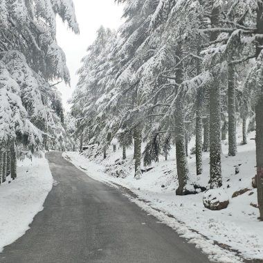 Al Hoceima authorities review emergency measures after weather alert