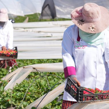 Minister: Morocco's Social & Solidarity Economy Sector Helps Create Over 24,500 Jobs in 2025