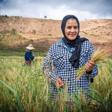 Only 12% of young women work in Morocco, says report