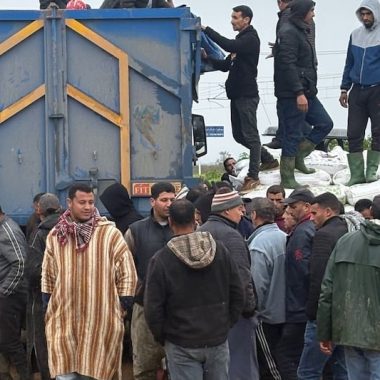 Morocco begins emergency feed distribution for farmers hit by floods near Ksar el-Kebir