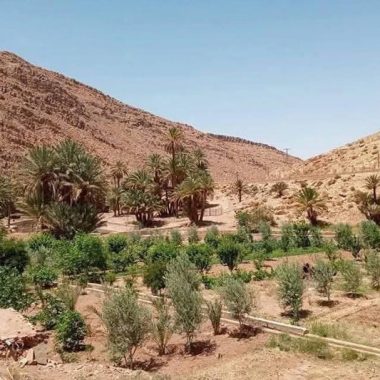 Moroccan residents accuse Algerian army of intimidation near border